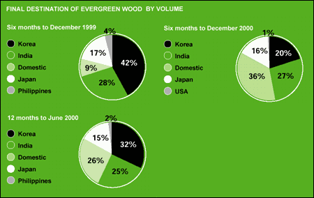 Final Destination of Evergreen Wood by Volume